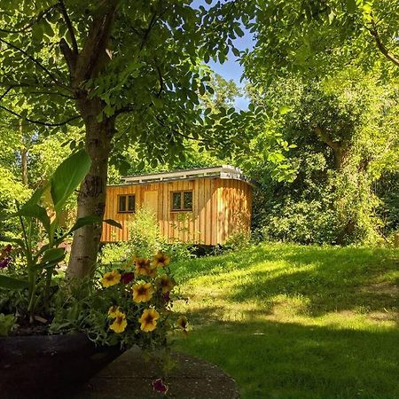 Jungle Wagon - Ecovillage Hainburg Hainburg an der Donau Exterior foto