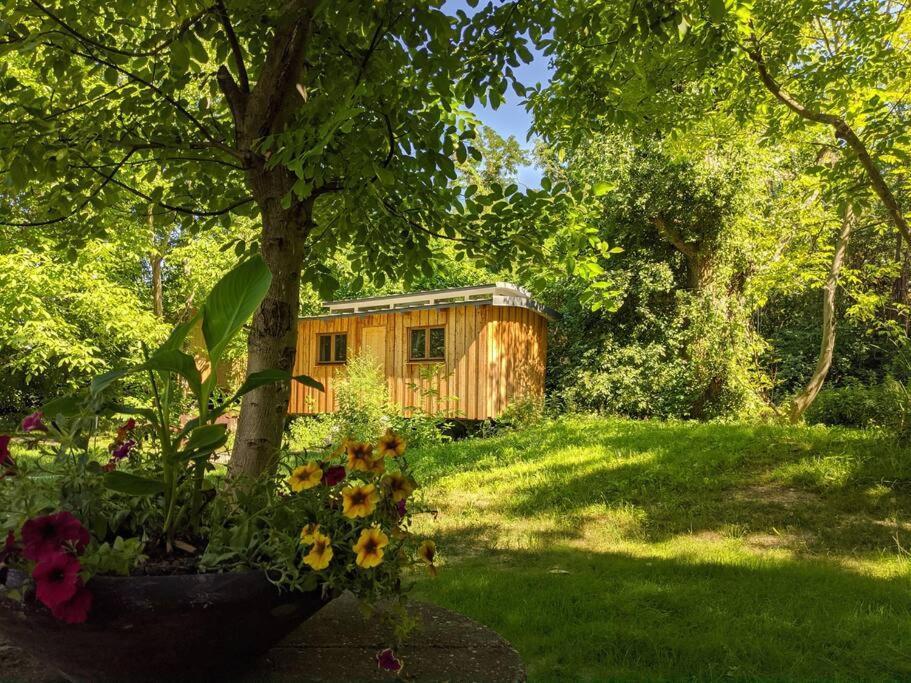 Jungle Wagon - Ecovillage Hainburg Hainburg an der Donau Exterior foto